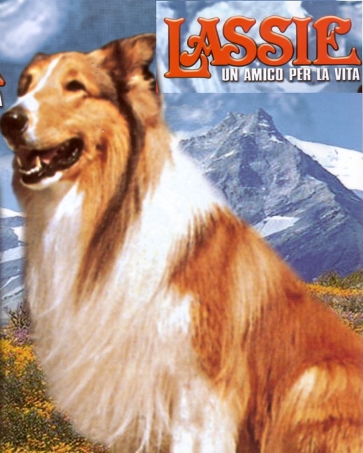 LASSIE UN AMICO PER LA VITA